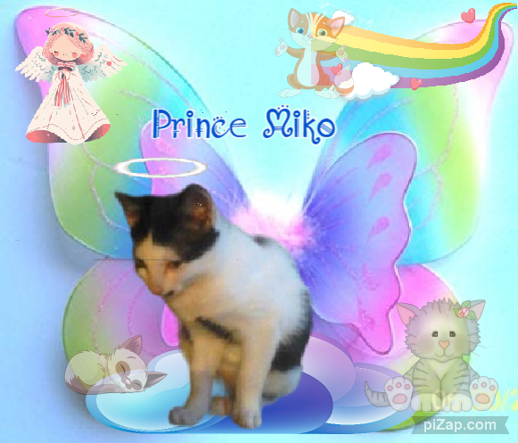 Prince Miko of the zoza1958 family