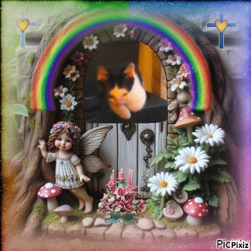 Prince Miko of the zoza1958 family