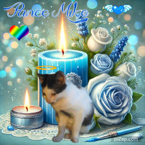 Prince Miko of the zoza1958 family