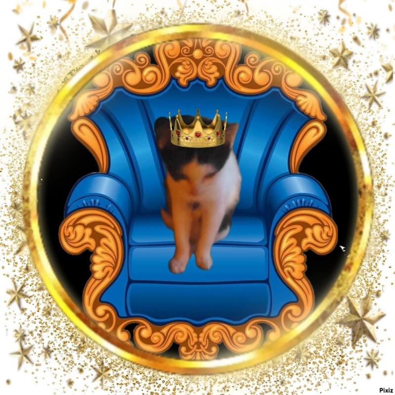 Prince Miko of the zoza1958 family