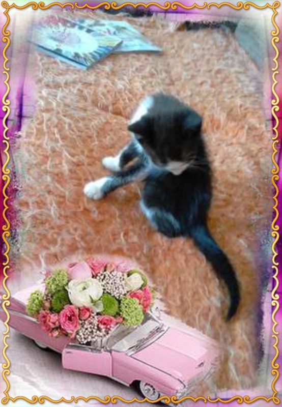 zoza1958 uploaded   1 year/s ago