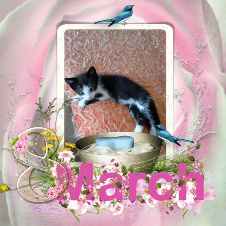 Princess Mau Mau of the zoza1958 family