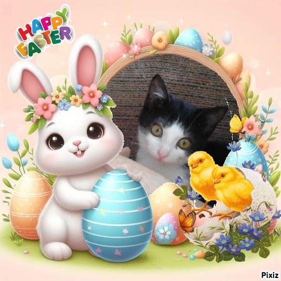 zoza1958 uploaded   6  day/s  ago