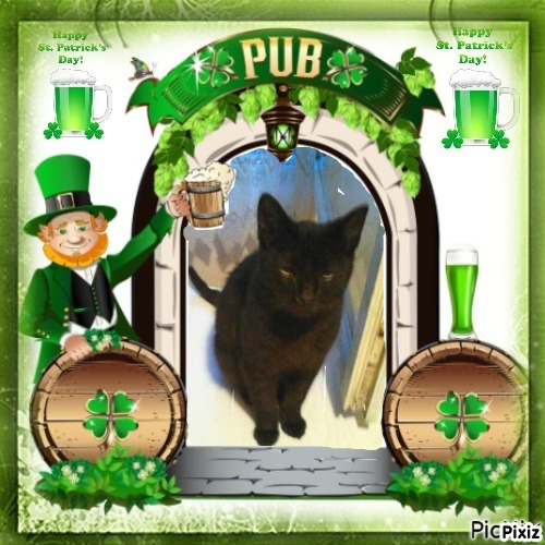 King  Zivko of the zoza1958 family