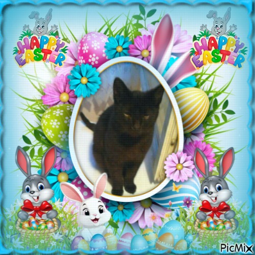 King  Zivko of the zoza1958 family