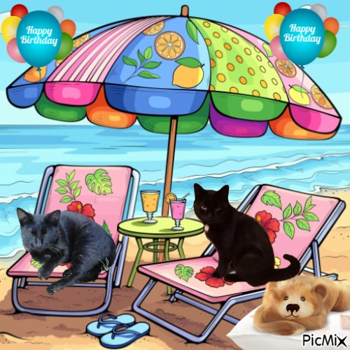 King  Zivko of the zoza1958 family