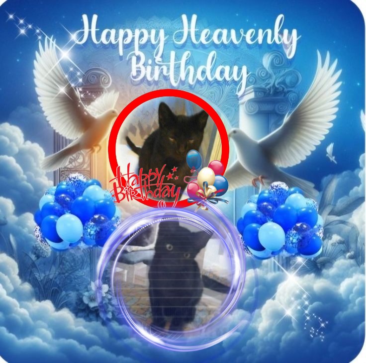 King  Zivko of the zoza1958 family