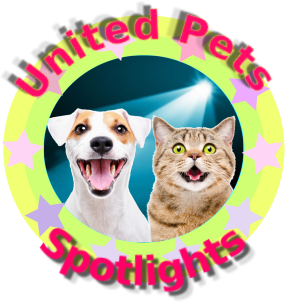 zoza1958 uploaded   70  day/s  ago