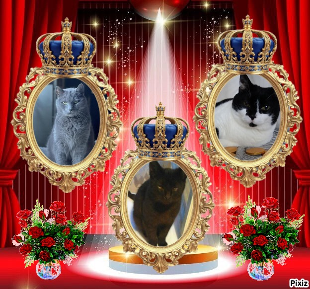 zoza1958 uploaded   70  day/s  ago