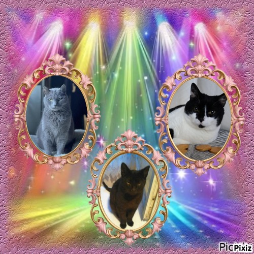 zoza1958 uploaded   70  day/s  ago