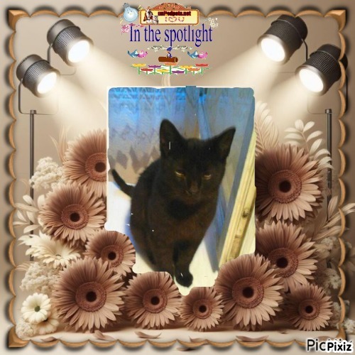 zoza1958 uploaded   68  day/s  ago