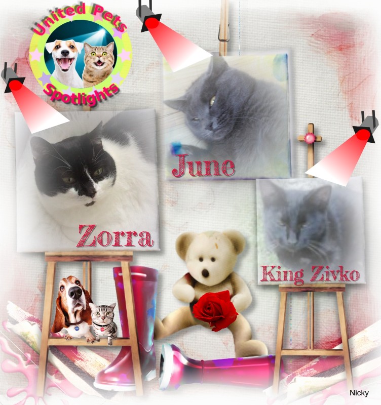 King  Zivko of the zoza1958 family