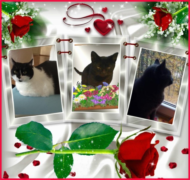 zoza1958 uploaded   68  day/s  ago