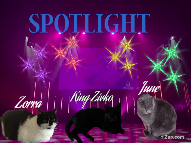 King  Zivko of the zoza1958 family