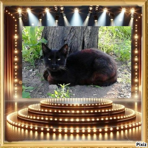 zoza1958 uploaded   68  day/s  ago