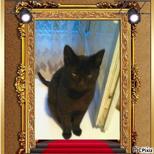 zoza1958 uploaded   68  day/s  ago