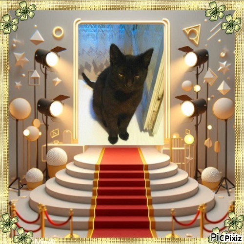 zoza1958 uploaded   68  day/s  ago