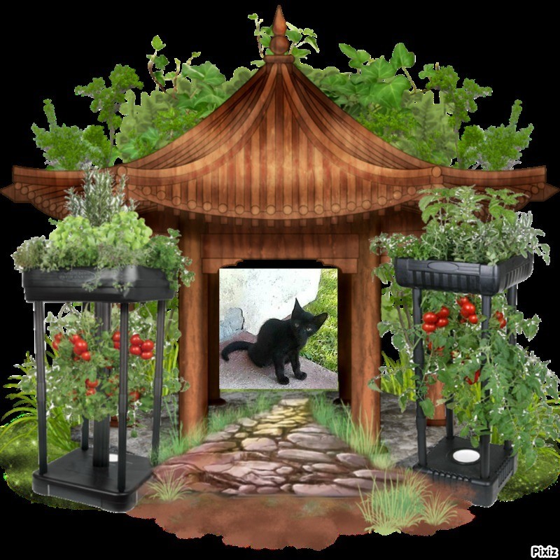 zoza1958 uploaded   1 year/s ago