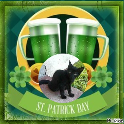 zoza1958 uploaded   31  day/s  ago