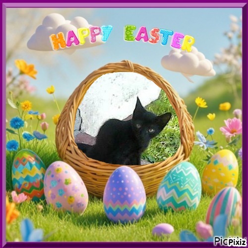 zoza1958 uploaded   6  day/s  ago