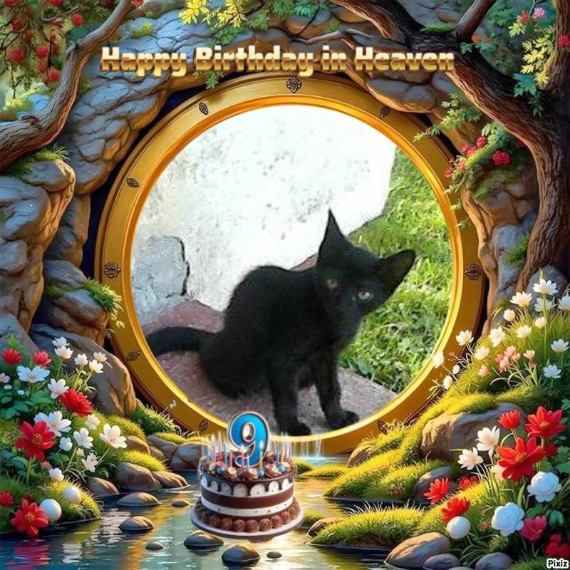 zoza1958 uploaded   3  day/s  ago