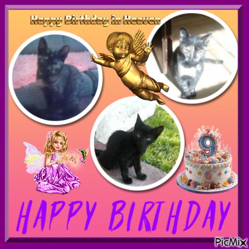 zoza1958 uploaded   2  day/s  ago