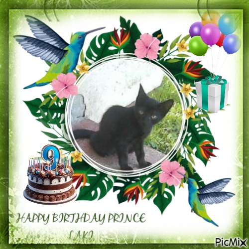 Prince Laki of the zoza1958 family