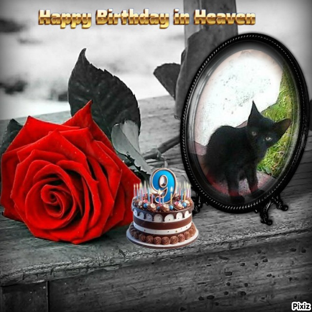 zoza1958 uploaded   2  day/s  ago