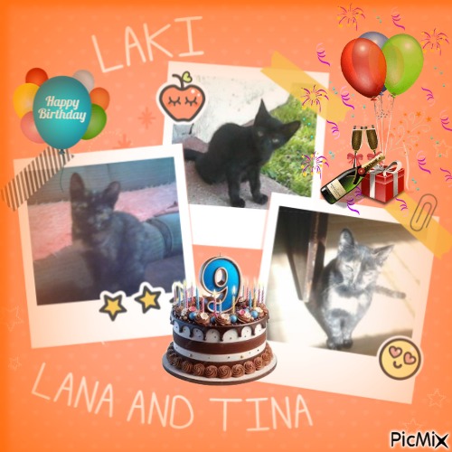 Prince Laki of the zoza1958 family