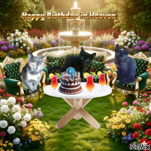 zoza1958 uploaded   3  day/s  ago