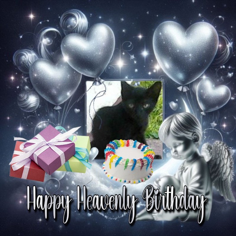 zoza1958 uploaded   3  day/s  ago