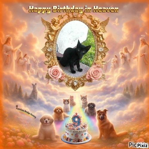 Prince Laki of the zoza1958 family