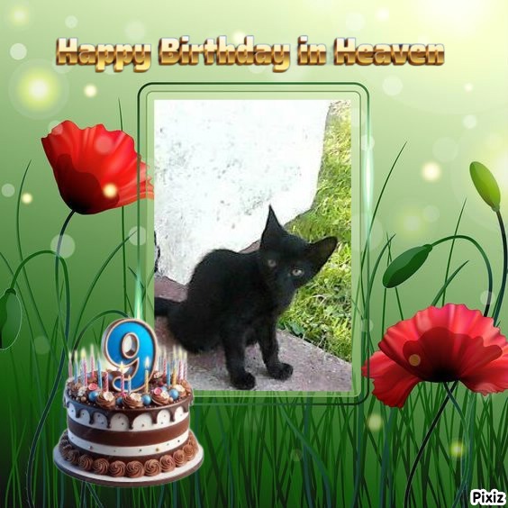 zoza1958 uploaded   2  day/s  ago