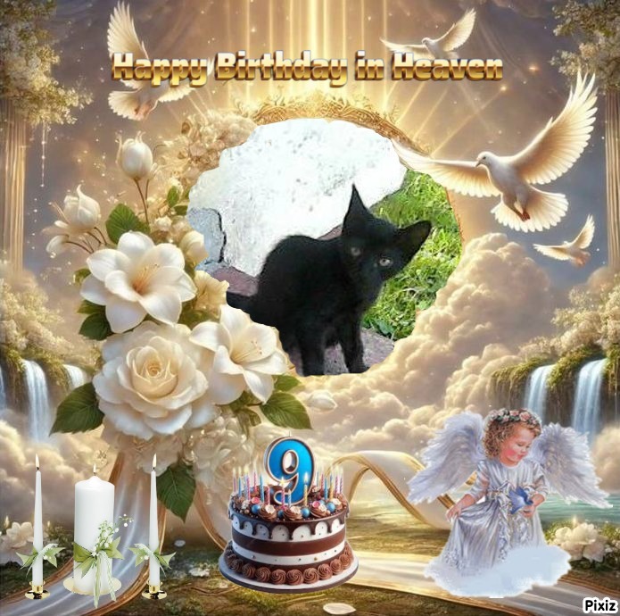 zoza1958 uploaded   3  day/s  ago