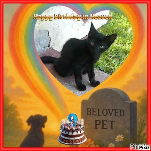 Prince Laki of the zoza1958 family