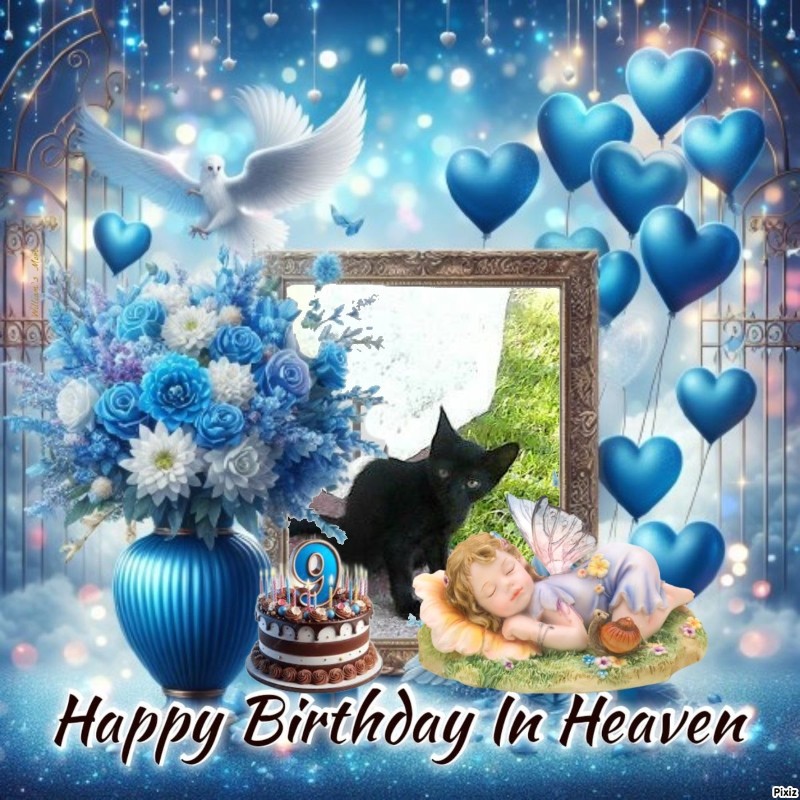 zoza1958 uploaded   3  day/s  ago