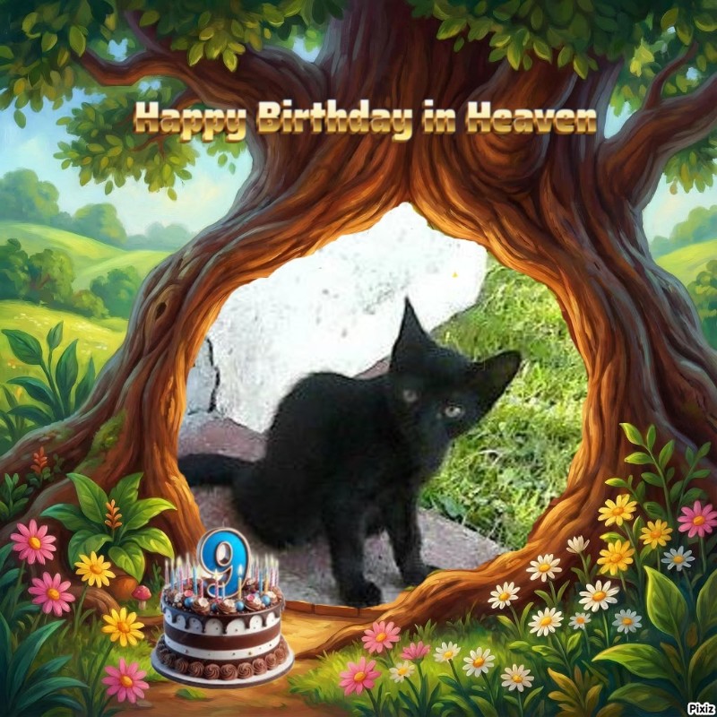 zoza1958 uploaded   2  day/s  ago