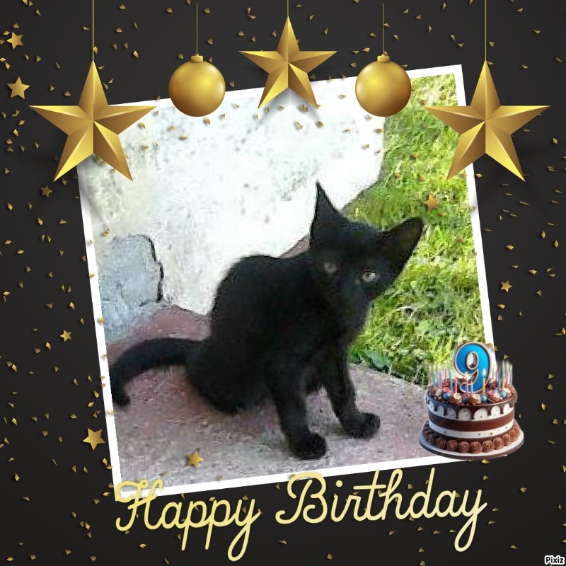 zoza1958 uploaded   2  day/s  ago