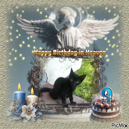 Prince Laki of the zoza1958 family