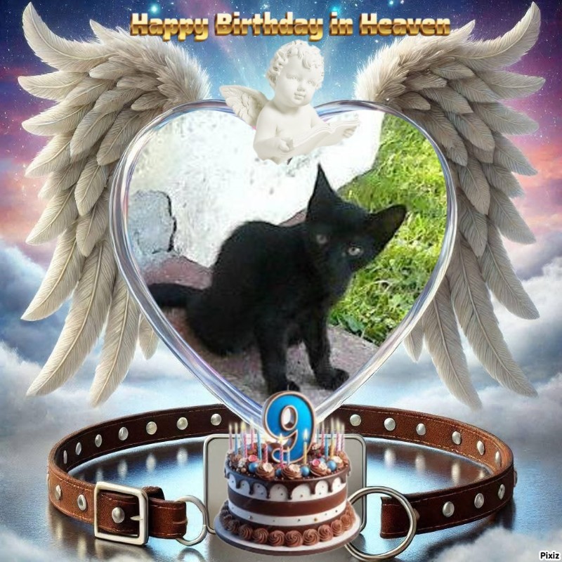 Prince Laki of the zoza1958 family