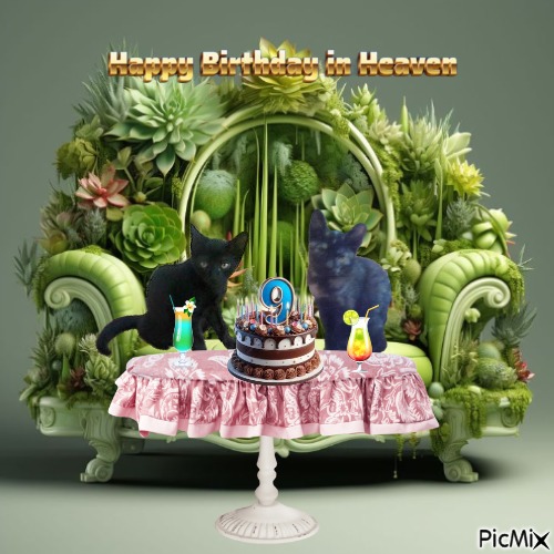 zoza1958 uploaded   3  day/s  ago