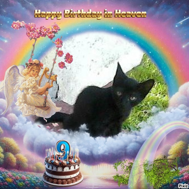 Prince Laki of the zoza1958 family