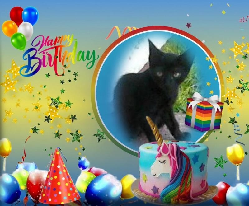 zoza1958 uploaded   3  day/s  ago