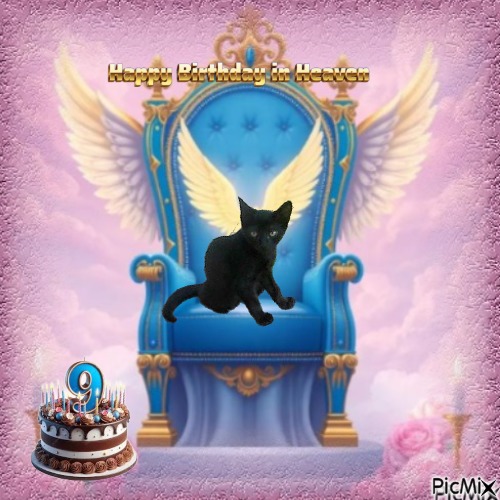 zoza1958 uploaded   3  day/s  ago