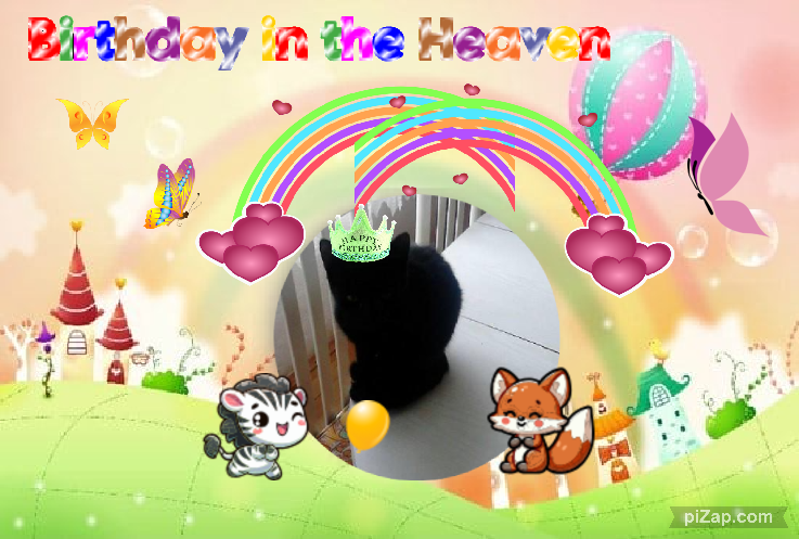 zoza1958 uploaded   3  day/s  ago