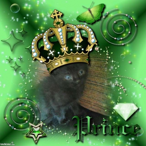 Prince Laki of the zoza1958 family