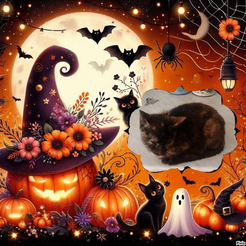 Princess Lana of the zoza1958 family