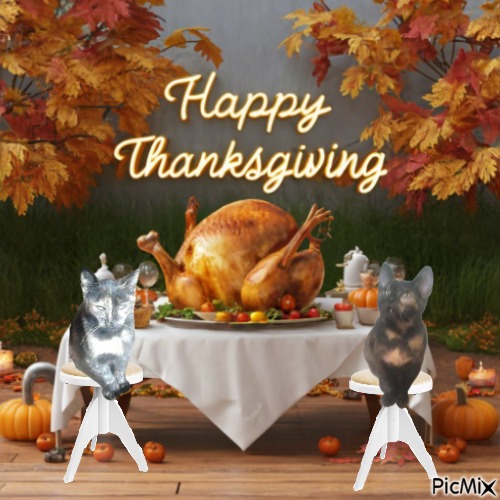 Princess Lana of the zoza1958 family