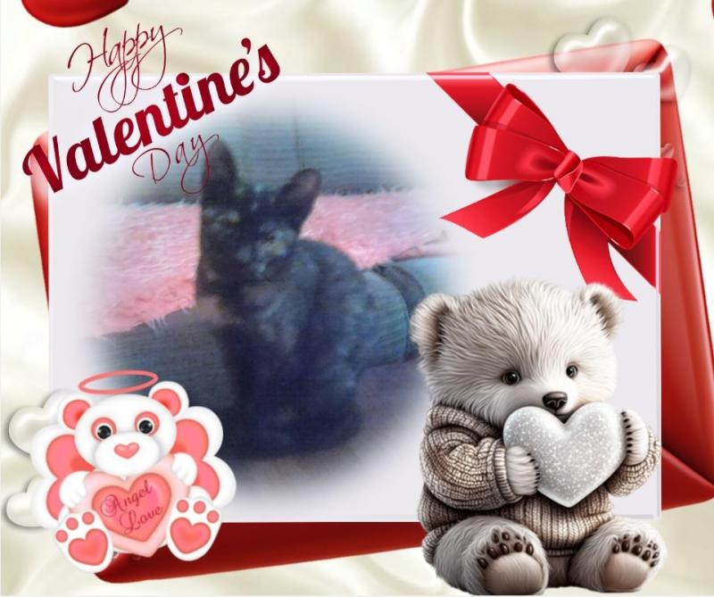 Princess Lana of the zoza1958 family