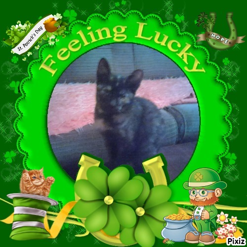 zoza1958 uploaded   31  day/s  ago